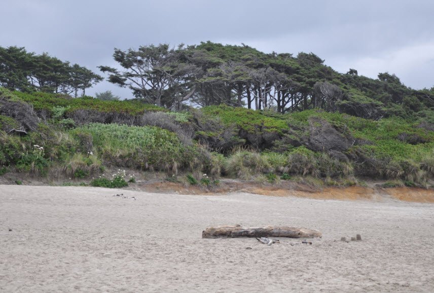 Beachside State Recreation Site, Oregon, USA